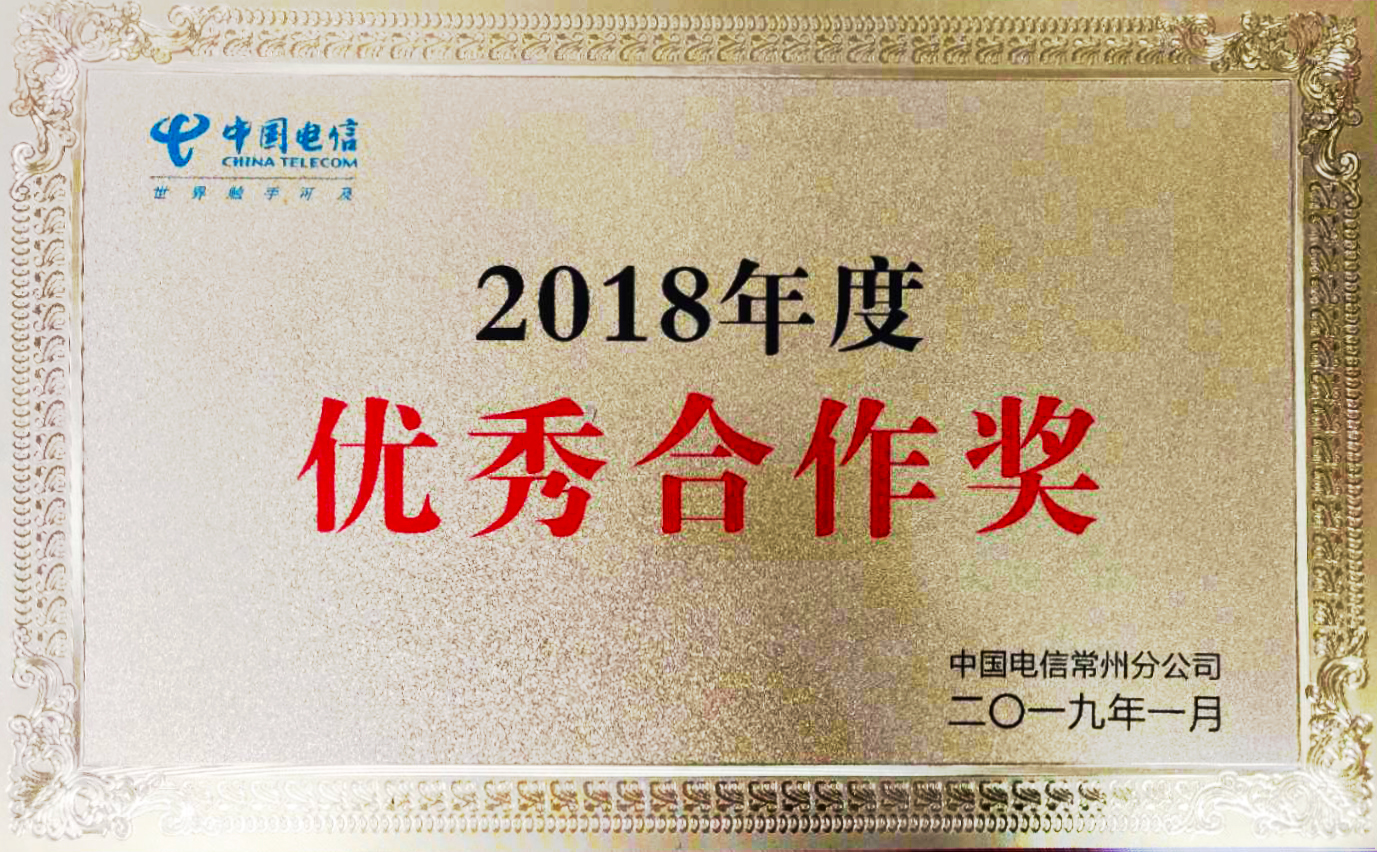 江苏易天集团荣获中国电信2018年度优秀合作奖