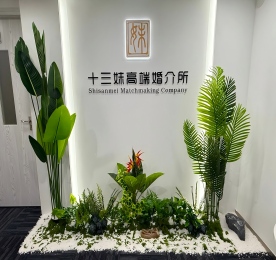 盛大启幕｜深圳市十三妹高端婚介隆重开业